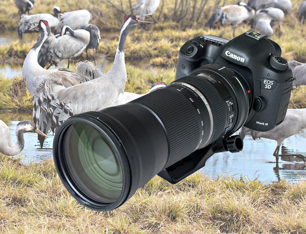 Tamron SP 150-600 mm F5-6,3 Di VC USD test
