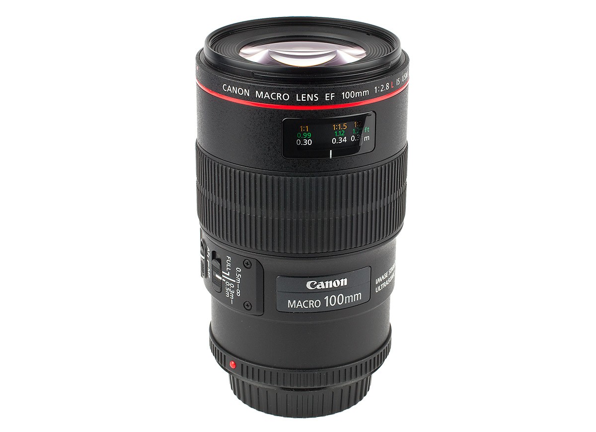 Canon EF 100 mm f/2,8 L IS USM Macro Test makroobjektiv