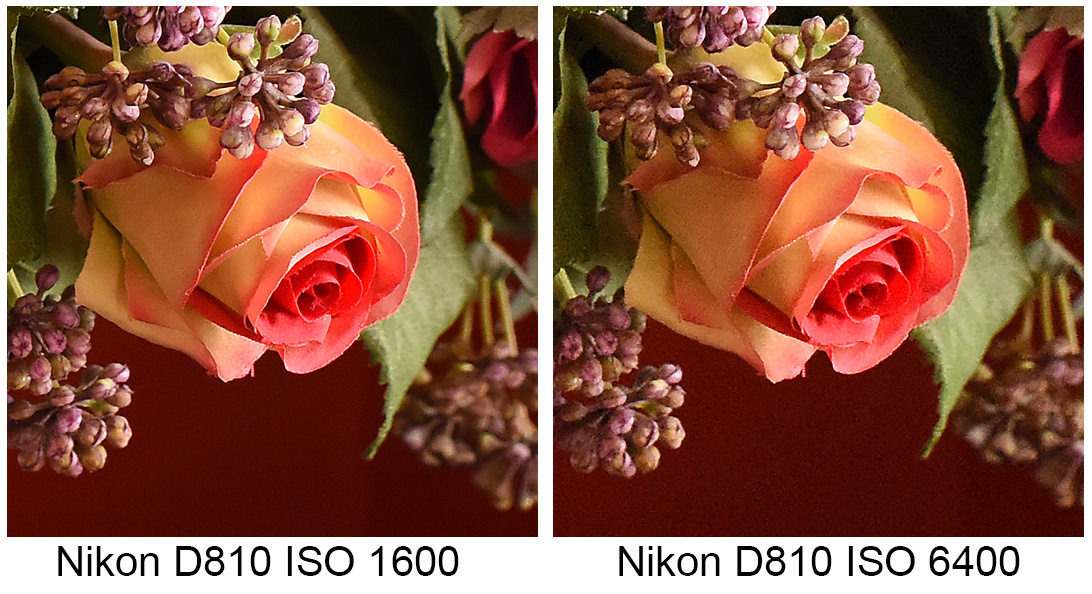 Nikon D810 test brus ISO 1600 & 6400