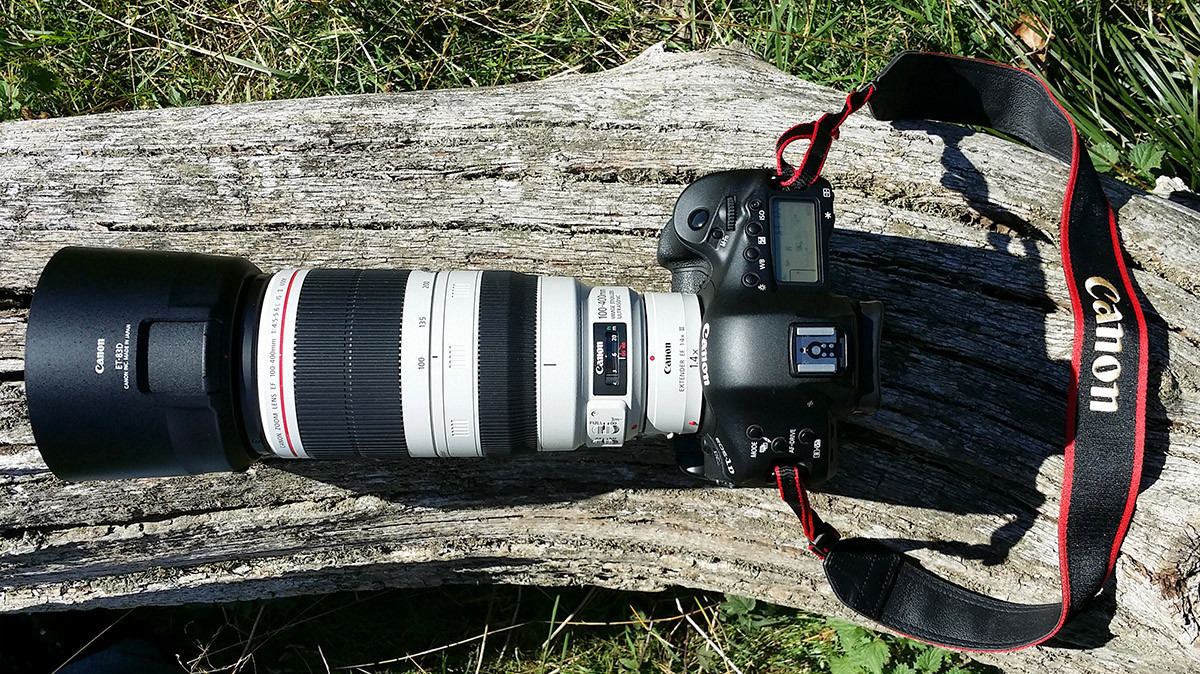 Canon EF 100-400 mm f/4,5-5,6 L IS II USM + Extender 1,4x III + EOS 1D X