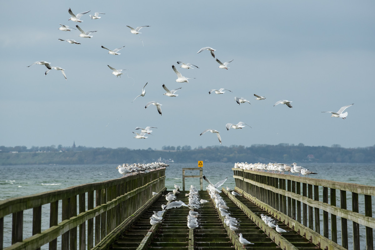 Nikon D750 testbild 02 foto Christian Nilsson Objektivtest.se