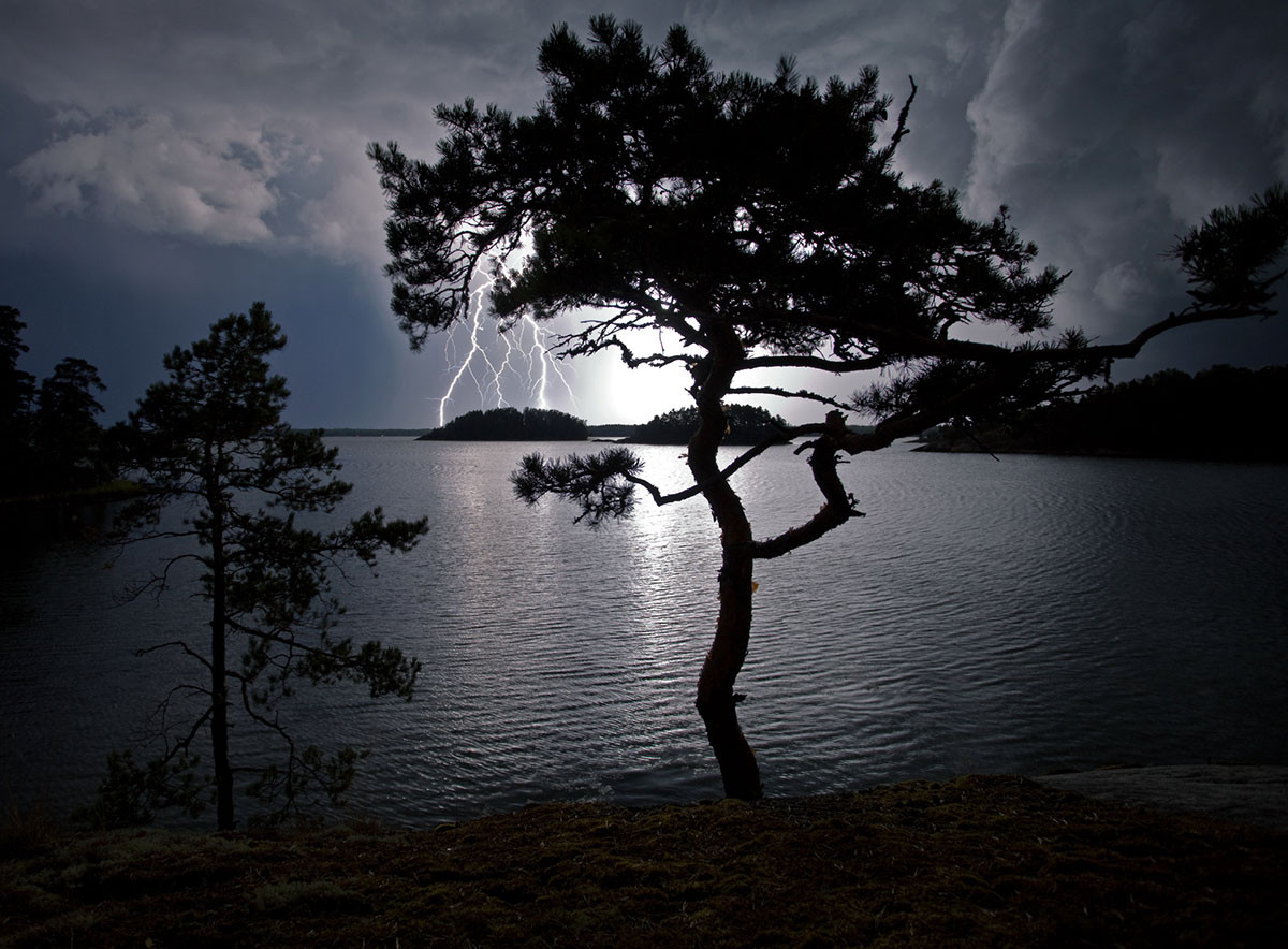 naturfotograf Benjamin Pöntinen Natur 2015 Vårgårda