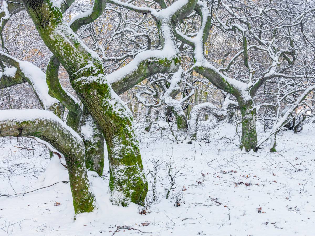 Vårgårda naturfotofestival 2015 Martin Borg Photo Natura