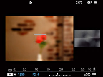 Fujifilm X-T1 EVF dual mode split screen