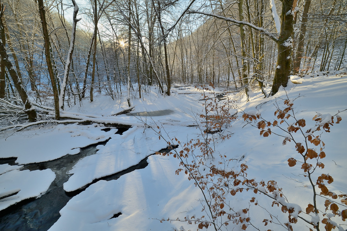 Vinter naturfotografering Skäralid Christian Nilsson bloggar Objektivtest.se