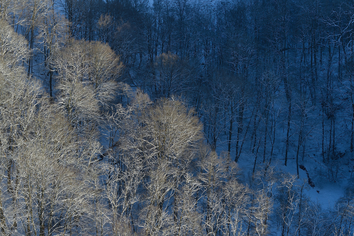 Vinter utsikt Kopparhatten Skäralid Söderåsens nationalpark rimfrost foto Christian Nilsson blogg Objektivtest.se