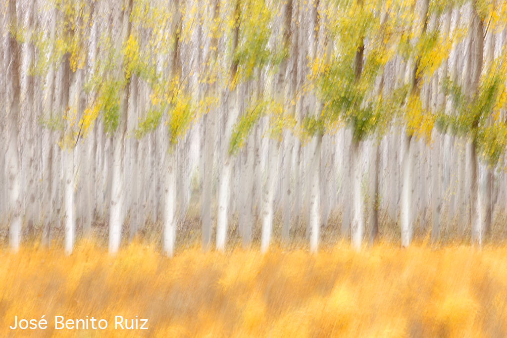naturfoto av José Benito Ruiz Spanien