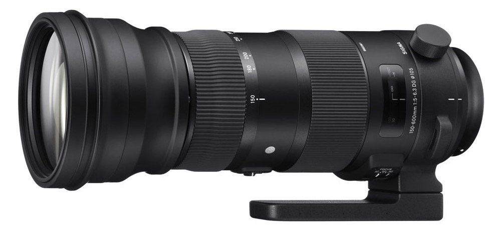Sigma 150-600 mm Sports & Contemporary ny firmware Canon och Nikon