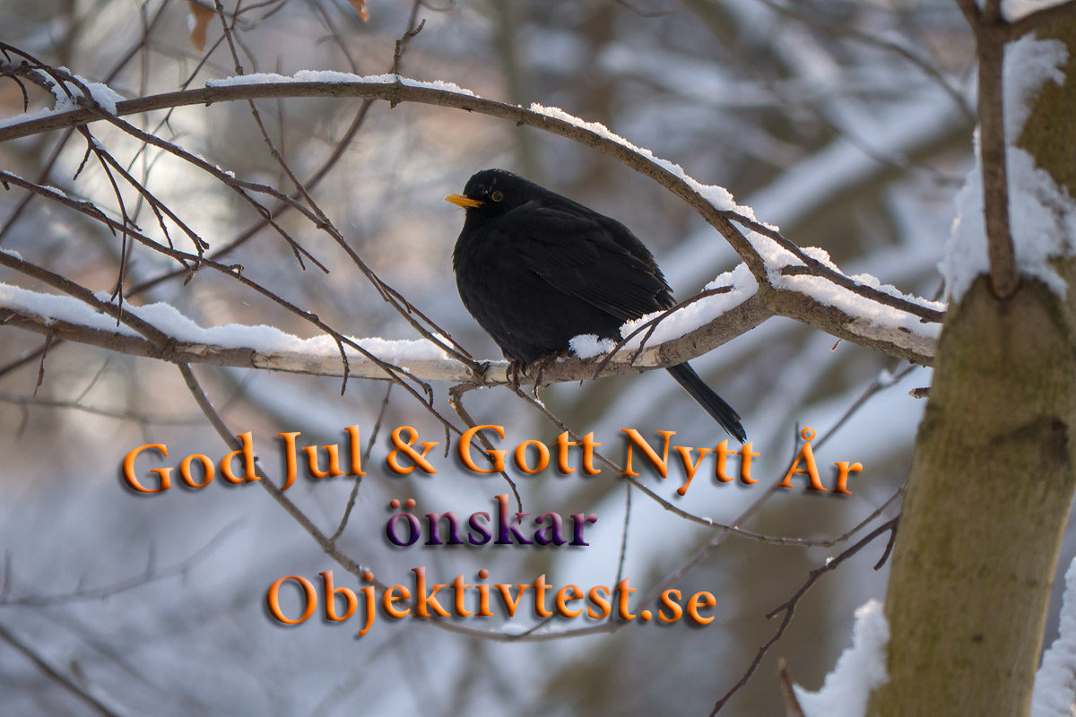 god jul önskar Objektivtest.se