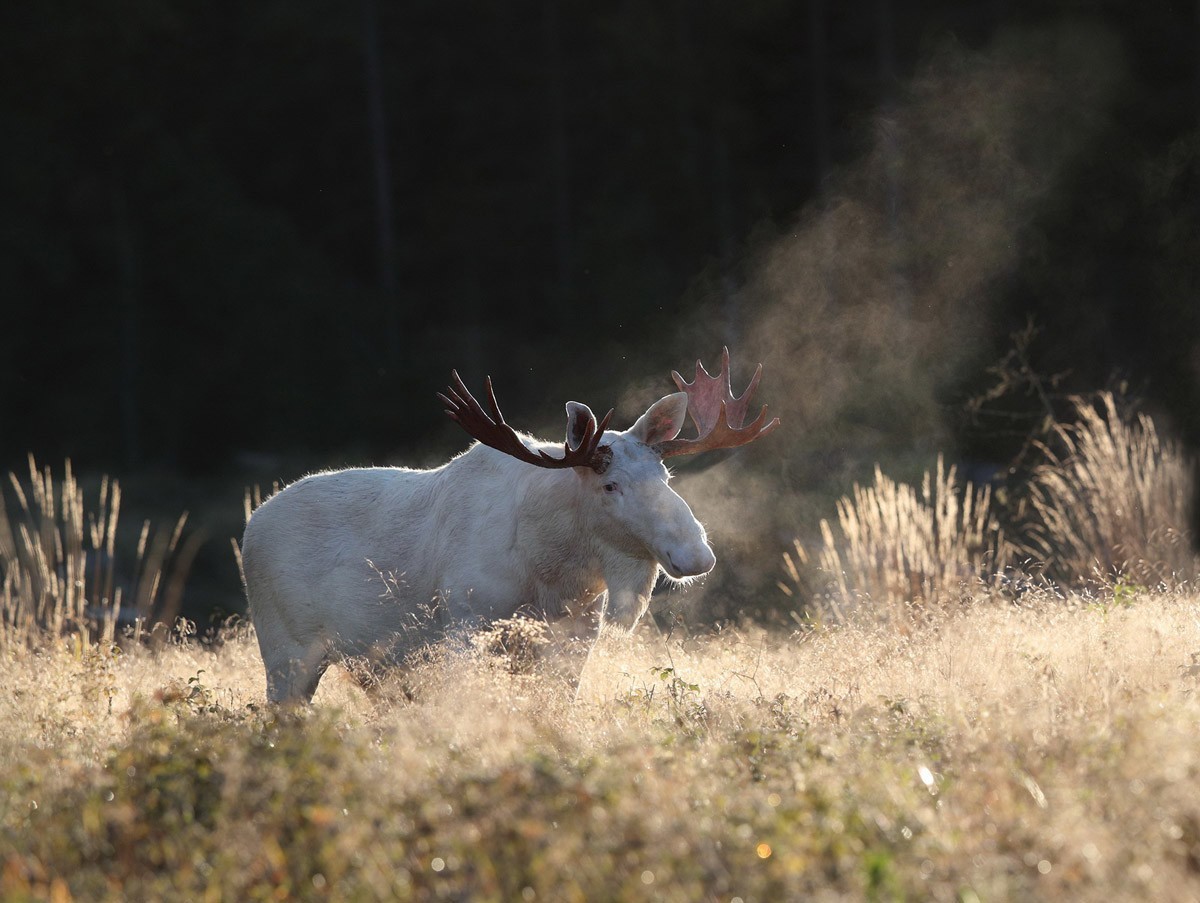 Håkan Nunstedt vinnare hösttävling 2016 www.objektivtest.se