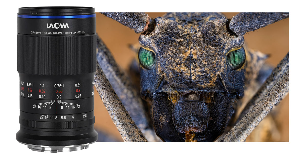 Obiettivo LAOWA 65mm F/2.8 2X Ultra Macro APO Per Fuji X – Nitidezza E Colori Eccezionali