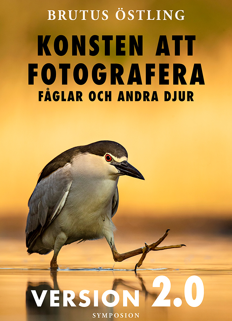 Fotobok Konsten att Fotografera Fåglar och Andra Djur ver 2.0 av Brutus Östling
