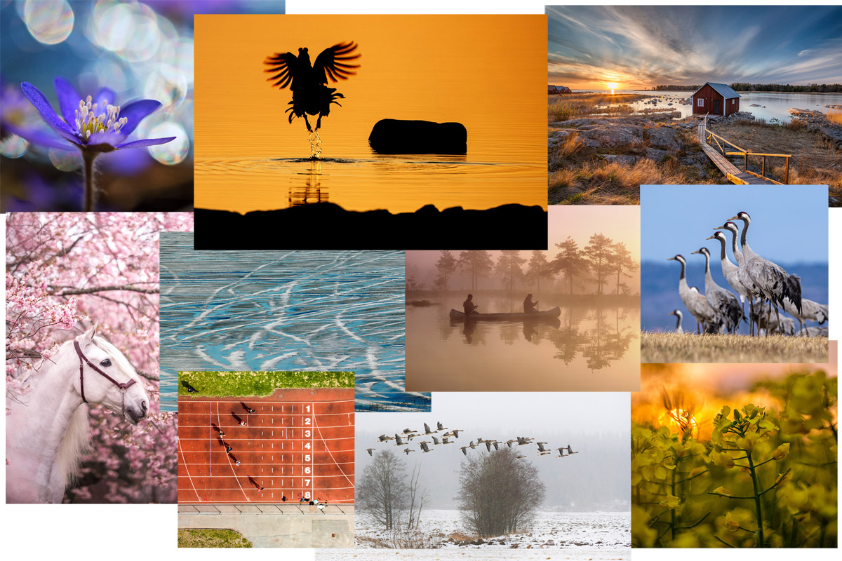 vinnare i Objektivtest.se's fototävling med tema vår - domare naturfotografen Brutus Östling